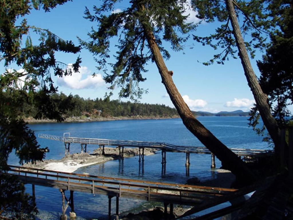 Arbutus Point Oceanfront B And B Long Harbour Room photo